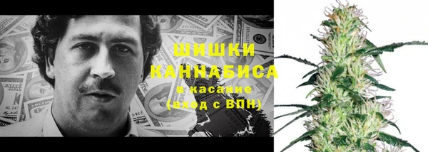 гидра Сосновоборск