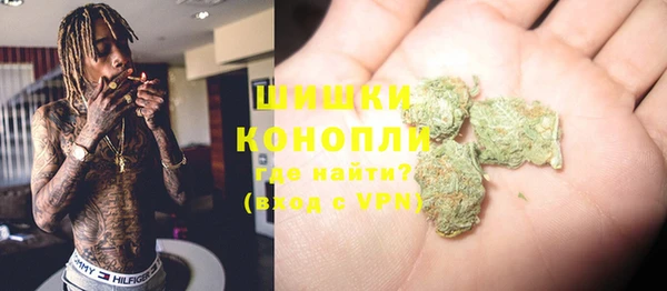 гидра Сосновоборск
