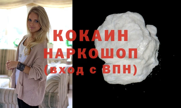 индика Сосновка