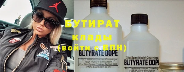 индика Сосновка