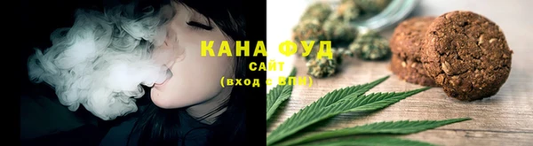 индика Сосновка
