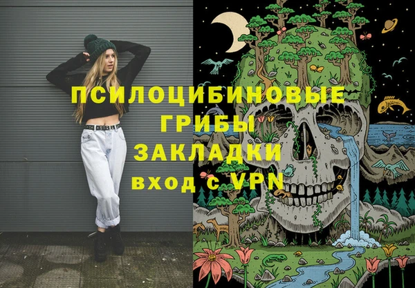 индика Сосновка