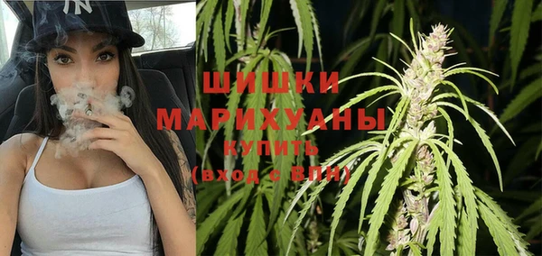 гидра Сосновоборск