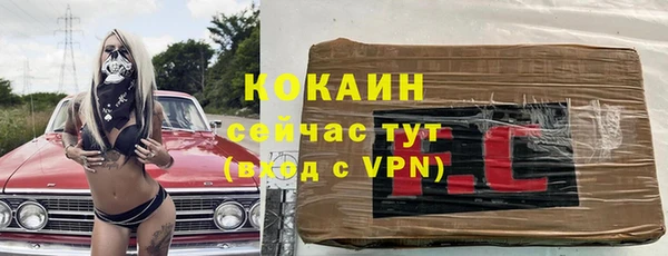 индика Сосновка