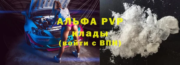 индика Сосновка
