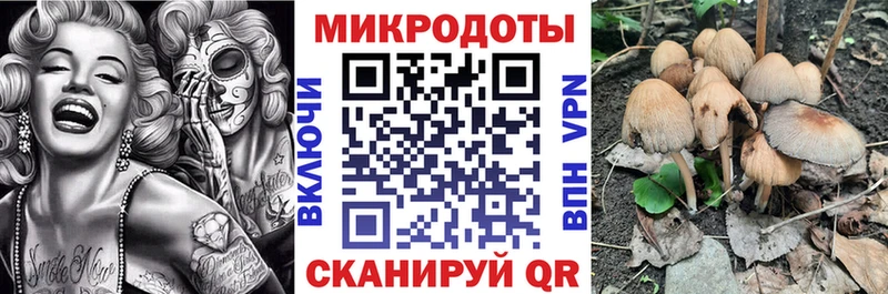 закладка  Темников  Псилоцибиновые грибы Magic Shrooms 